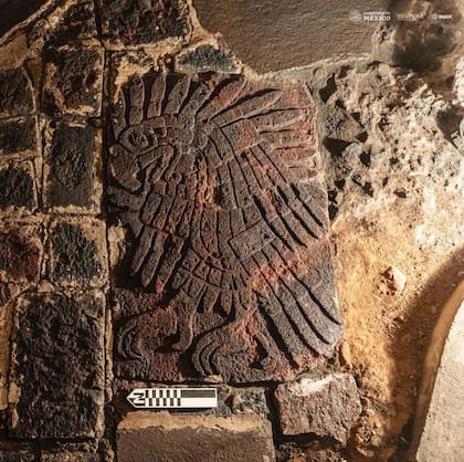Según los expertos, el águila era una criatura sagrada en el pensamiento azteca, se cree que estuvo presente en el nacimiento del sol Foto: INAH México