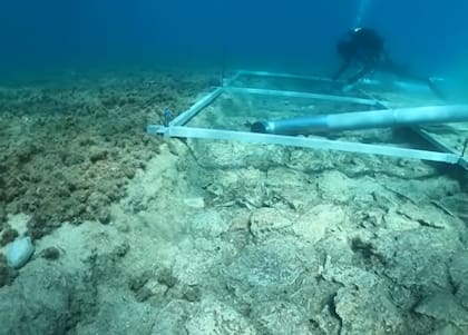 Según los expertos, la importancia histórica de este descubrimiento es de relevancia internacional