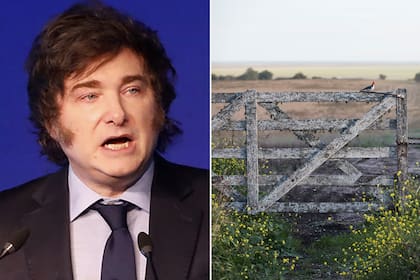 Según los operadores del mercado, en un principio los empresarios veían a Milei con recelo, pero eso cambió