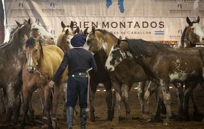 Según los organizadores, “Bien Montados” no es solo una clínica, es una experiencia formativa para quienes viven el mundo del caballo con pasión