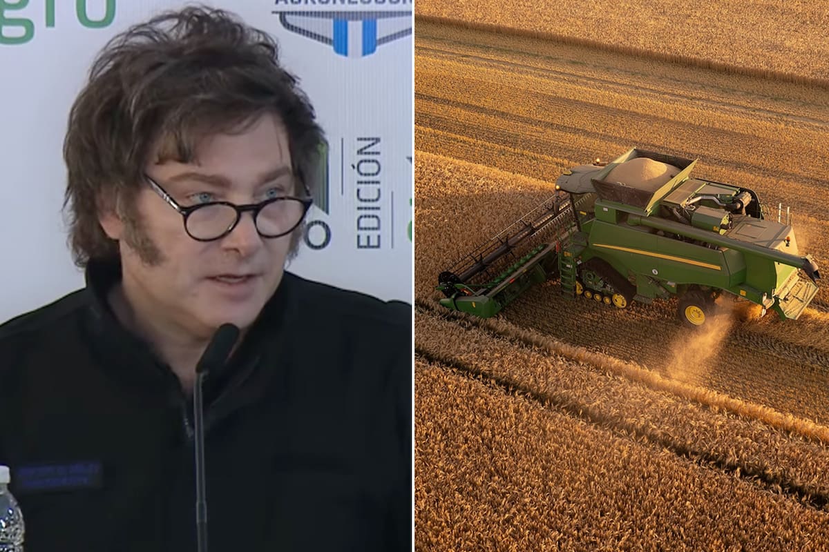 Según los productores no se agregarán hectáreas adicionales a las ya previstas de incremento de área