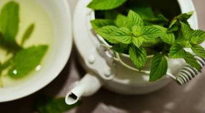 Según Mayo Clinic, con solo inhalar el aroma de esta hierba se puede mejorar la concentración y la memoria
