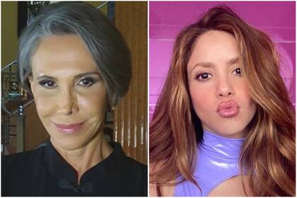 Según medios mexicanos, Florinda Meza demandaría a Shakira por plagio (Foto: archivo / Instagram @shakira)