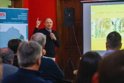 Según Mercuri, “se está desarrollando el fenómeno climático Niño que, acorde a la proyección más reciente, tendría una intensidad de moderado a fuerte"