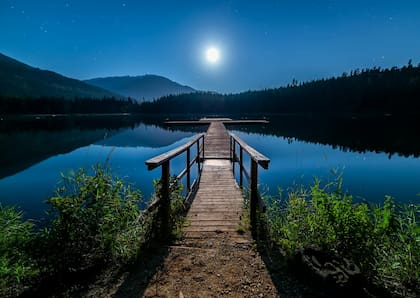 Según Niño Prodigio, la luz de la Luna de la Cosecha iluminará el camino durante esta semana de octubre (Pexels/James Wheeler)