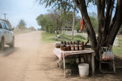 Según Pescio, como no existe la producción formal, esta carne proviene de la faena clandestina