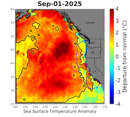 Según Rachel Hager de NOAA Fisheries, la anomalía térmica alcanzó "aproximadamente el mismo tamaño que el territorio continental de Estados Unidos"
