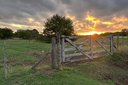 Según referentes del mercado, la compraventa de campos ha ganado ritmo impulsada por la expectativa de estabilidad económica, el blanqueo de capitales y una visión más optimista sobre el futuro del país