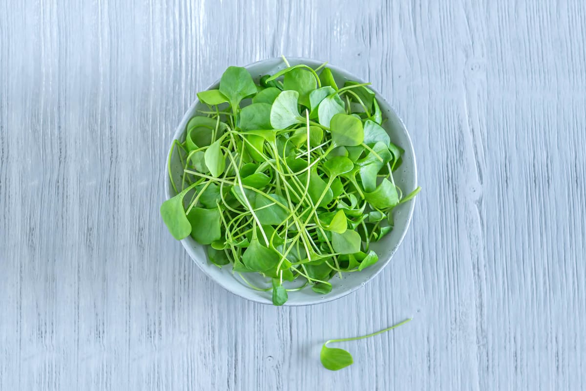 Según señalan las tablas nutricionales, esta es una de las verduras que más vitamina C contiene –sobrepasando a la naranja y otros cítricos–