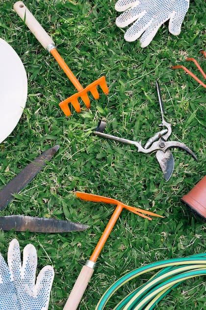 Según un estudio, la jardinería demostró ser un elemento crucial en la prevención del Alzheimer.