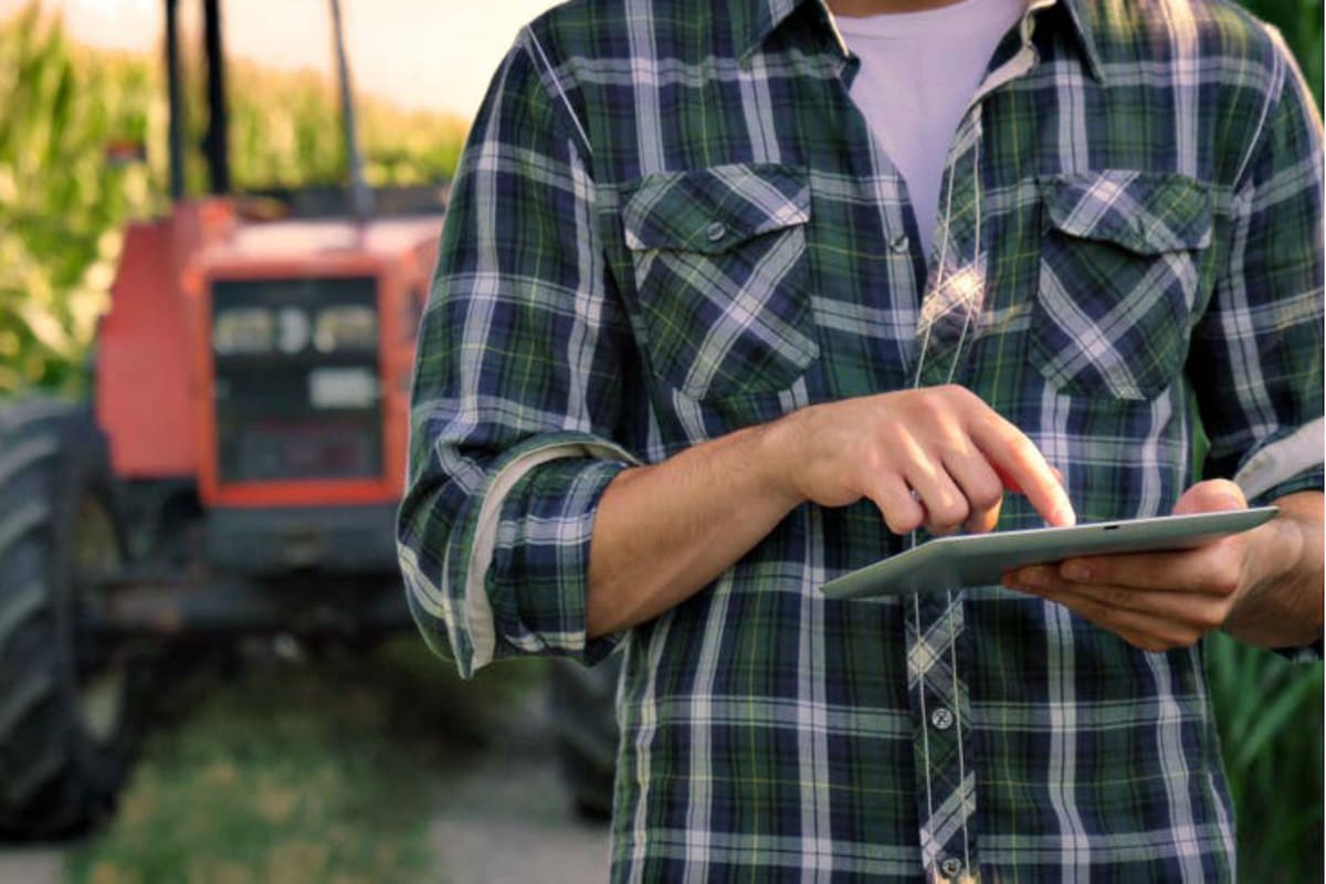 Según una encuesta, un 95% cree que aumentaría su productividad si dispusiera de una internet de buena calidad.