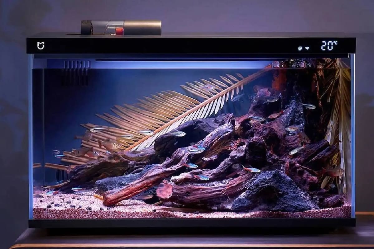 Según Xiaomi, su nueva pecera solo necesita limpieza cada medio año y permite alimentar a los peces en forma remota, usando una app