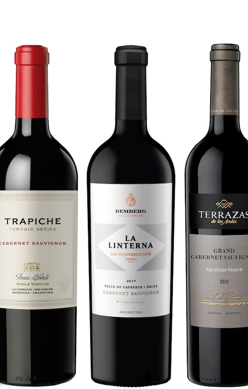 Seis Cabernet mendocinos de súper alta gama