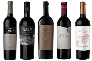 Cuáles son los 9 vinos argentinos entre los mejores Cabernet del mundo