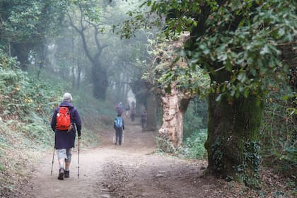 Seis días y 120 kilómetros por el Camino Inglés, una de las sendas que los peregrinos transitaron durante años hacia Compostela