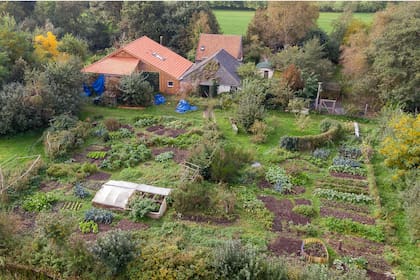 Seis hermanos y su padre vivieron recluidos por 9 años en la granja de Ruinerwold.