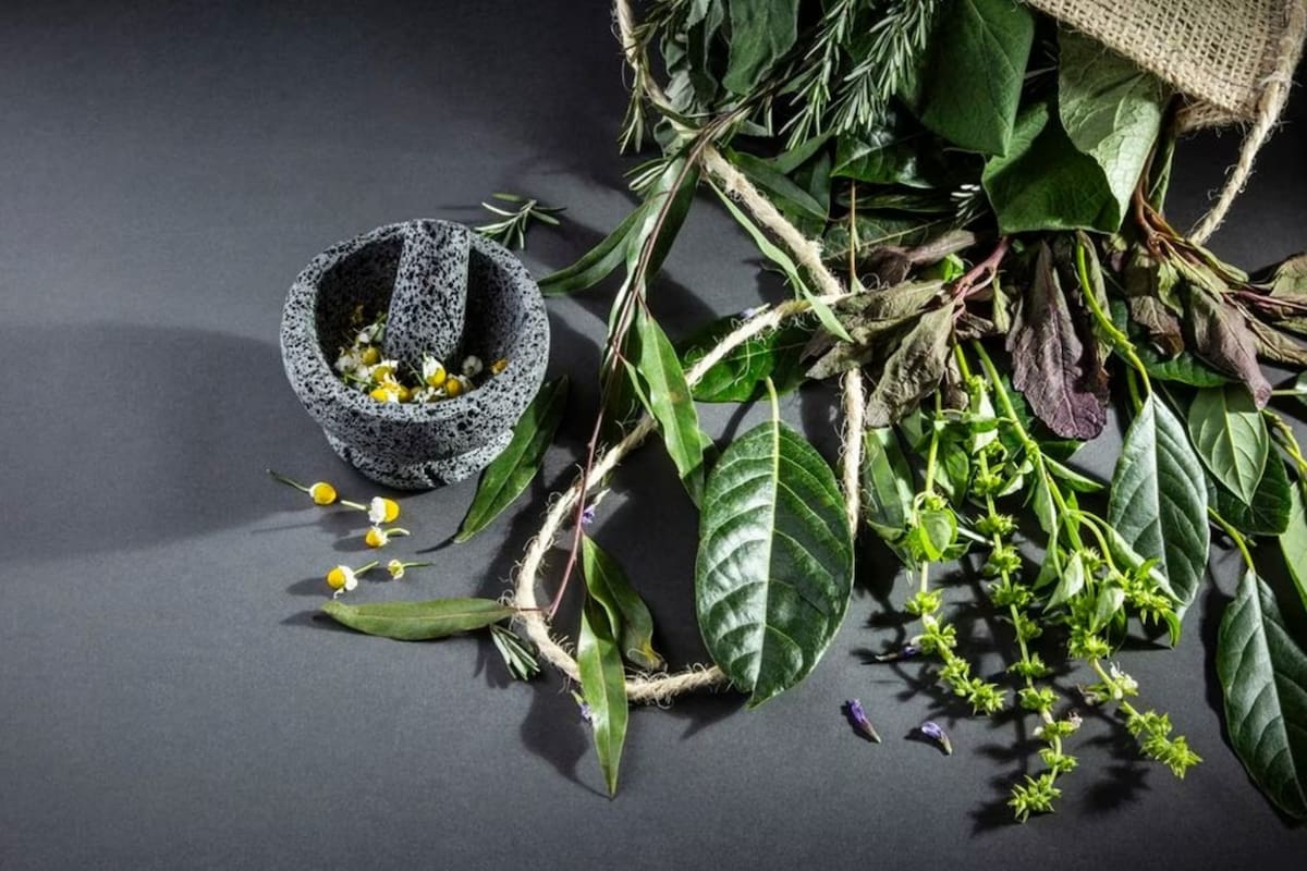 Seis hierbas con propiedades medicinales para cuidar la salud del hígado y prevenir enfermedades