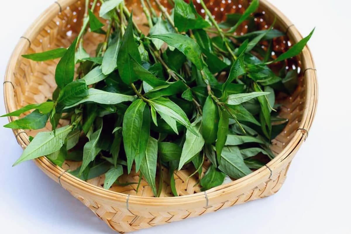 Seis ideas para sustituir el cilantro en la comida