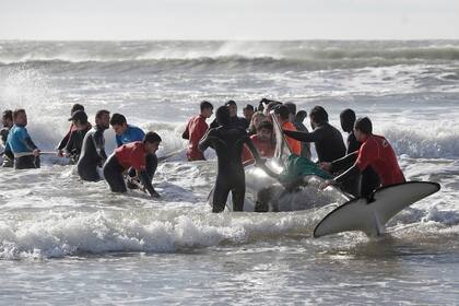 Después de varias horas de labor la orca pudo volver al mar