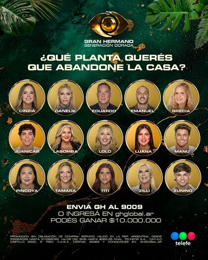 Seis participantes quedaron nominados en la "placa planta" (Captura: Instagram @granhermanoar)
