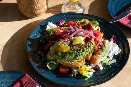 Seis recetas ideales para incorporar el magnesio a nuestro cuerpo