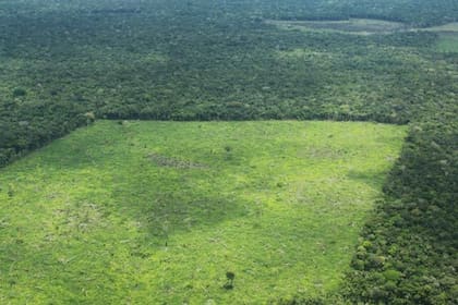 Selva de Guaviare donde cayó la avioneta