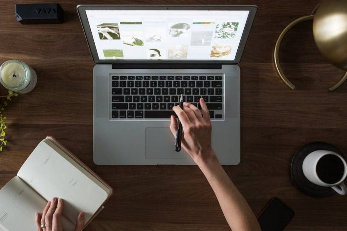 Semana del 19 al 26 de noviembre