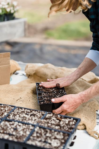 Sembrar en la estación adecuada fortalece las plantas y reduce el riesgo de plagas y enfermedades