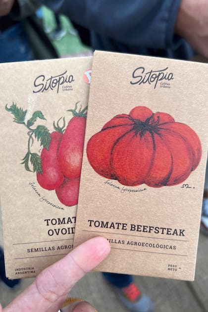 Semillas agroecológicas de diferentes variedades de tomates