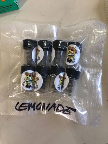 Semillas de cannabis