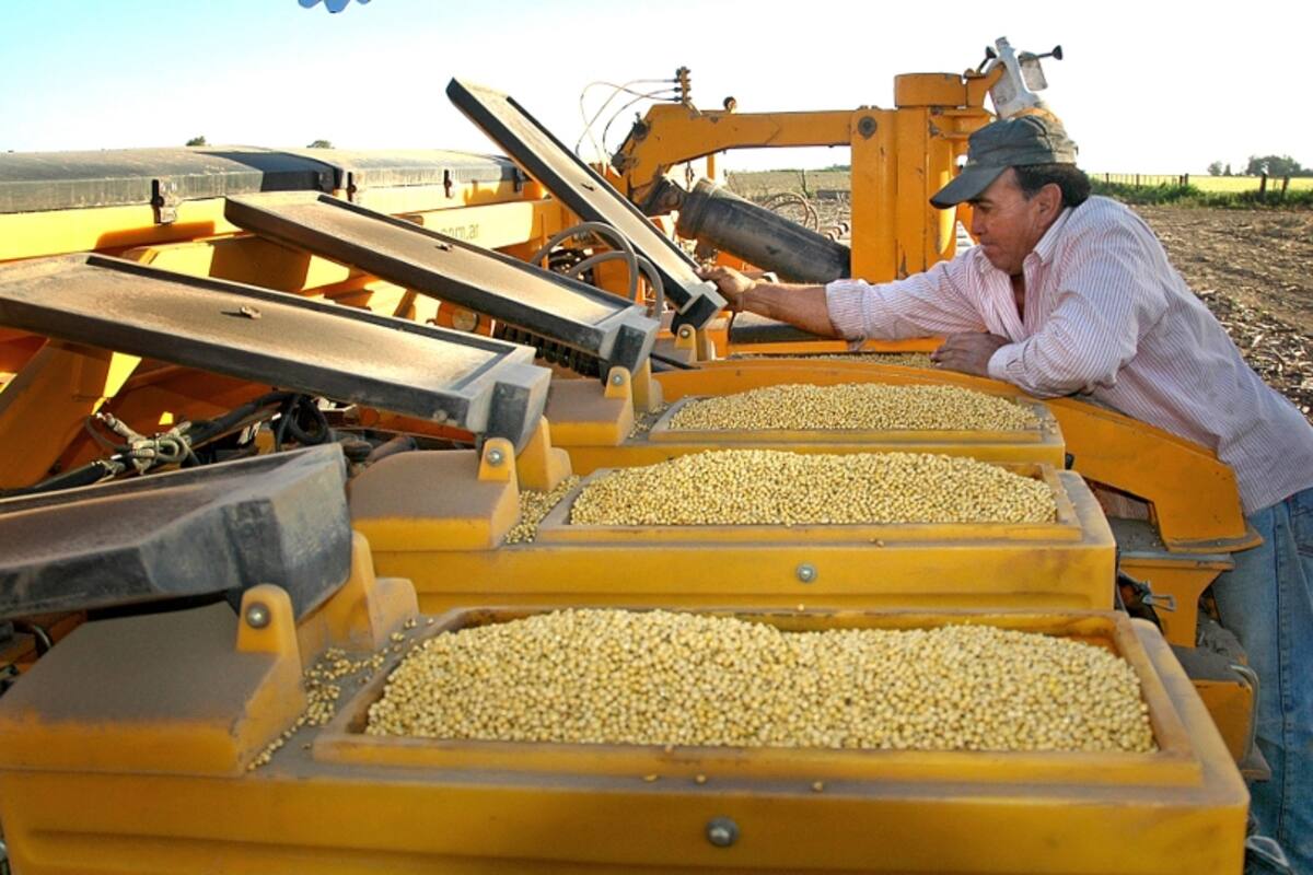 Semillas de soja
