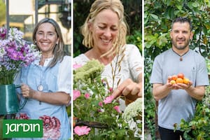 Semillas propias, frutas casi desconocidas y un invernadero lleno de vida: cómo estos espacios verdes se convirtieron en motores de creatividad y comunidad