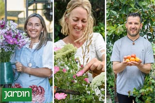 Historias reales donde el cultivo deja de ser hobby: tres iniciativas que combinan naturaleza, creatividad y trabajo