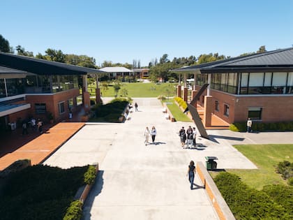 Semillero global: el entorno donde conviven y se potencian las mentes más brillantes de las 23 provincias, consolidando un ecosistema de alta competencia intelectual y valores compartidos.