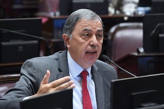 Aborto: "Somos mayoría quienes estamos por la negativa", dijo Urtubey