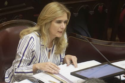 La senadora de Tucumán Silvia Beatriz Elías de Pérez