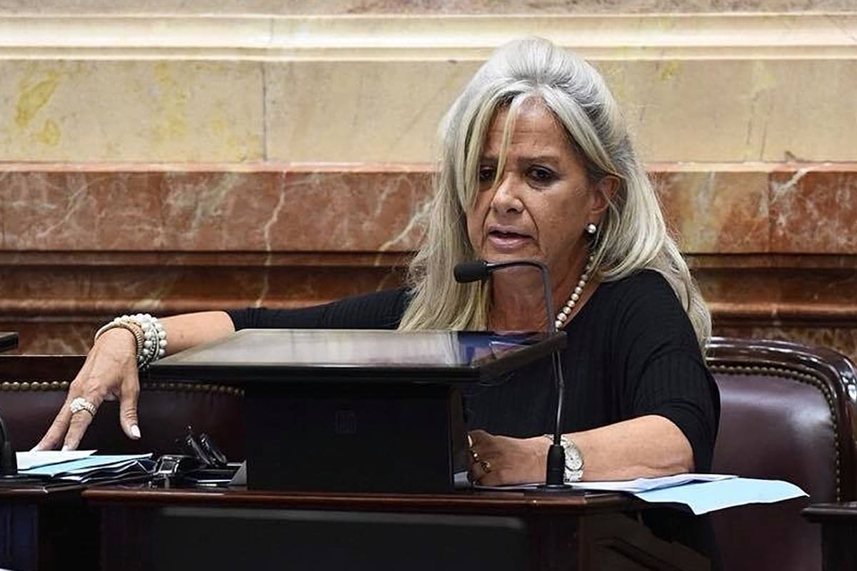 Senadora María Ines Pilatti Vergara