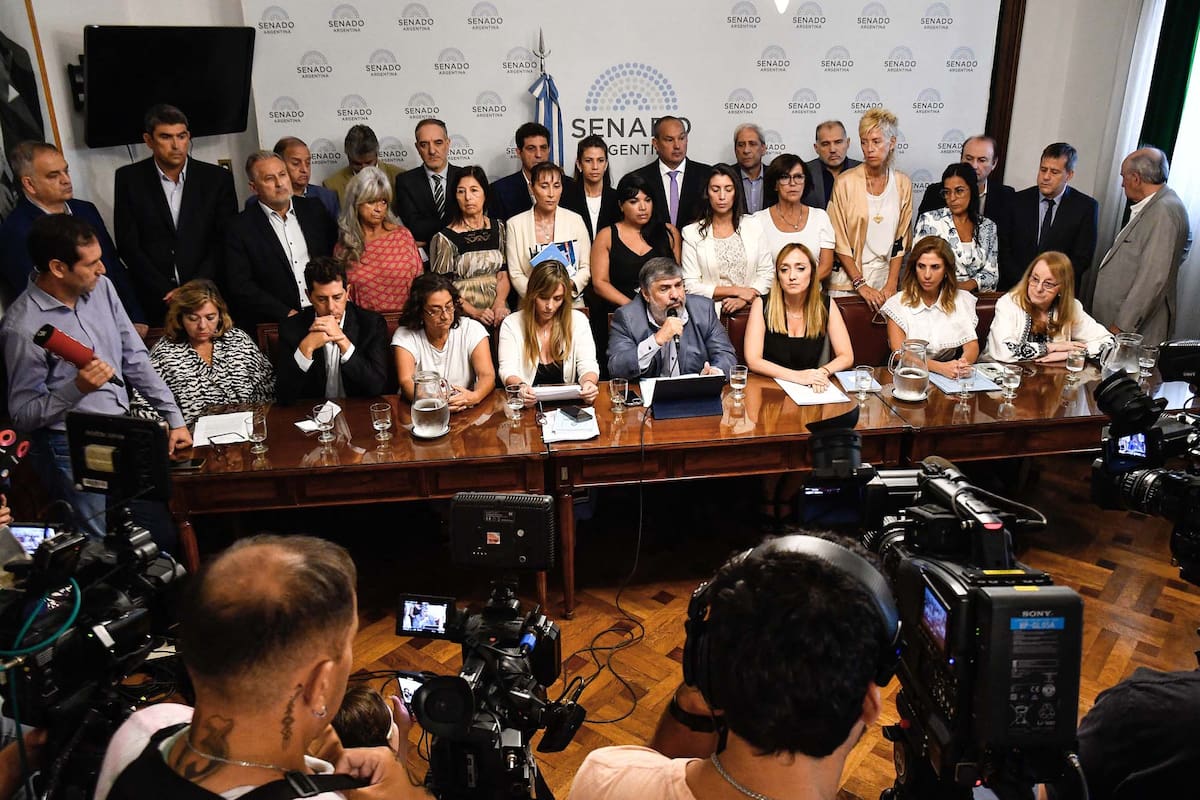 Senadores de UxP brindaron una conferencia de prensa el Congreso