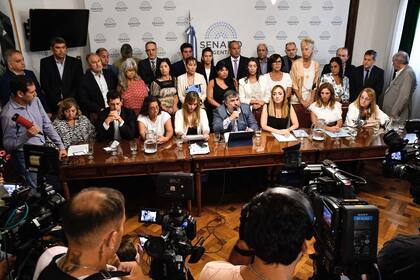 Senadores de UxP brindaron una conferencia de prensa el Congreso