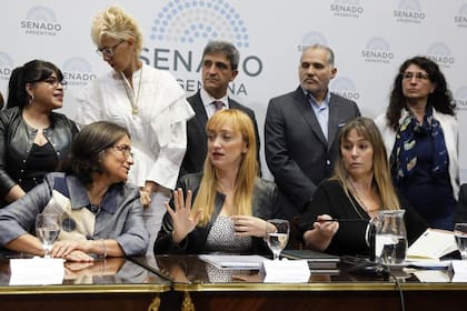 Senadores del Frente de Todos rechazan el fallo de la Corte que frenó la jugada de Cristina Kirchner para ganar un lugar en el Consejo de la Magistratura, el miércoles