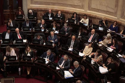 Senadores durante la sesión ordinaria, donde se trata el veto al proyecto de distribución de aportes del Tesoro Nacional (ATN)