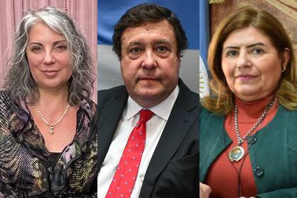 Senadores Magdalena Solari Quintana, Alberto Weretilneck y Clara Vega