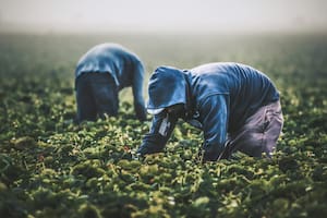 Senadores republican presentaron el proyecto de ley House Bill 318 y 153 contra migrantes. Foto: Unsplash