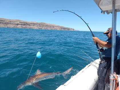 Senadores republicanos de Florida quieren tomar represalias contra la pesca ilegal