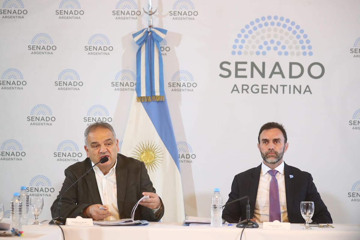 Senadores Salino y Atauche. Comisión de Presupuesto y Hacienda del Senado