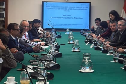 Señalaron que existen oportunidades para ampliar las exportaciones de aceite de soja y, especialmente, de girasol