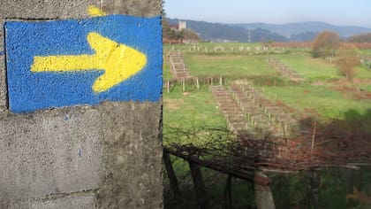 Señales en el Camino de Santiago