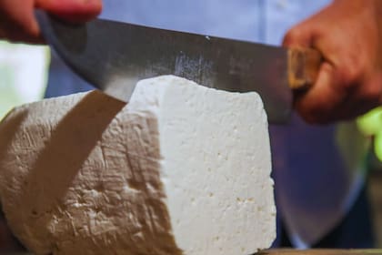 Senasa y Anmat frenaron la producción de un queso de una marca reconocida porque se detectó una bacteria