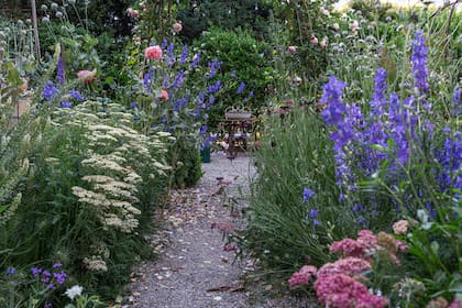 Sendero de granza entre flores.
