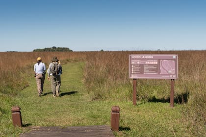 Sendero La Cañada en el portal San Nicolás del Parque Nacional Iberá.